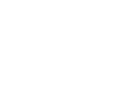 The Advonet Group